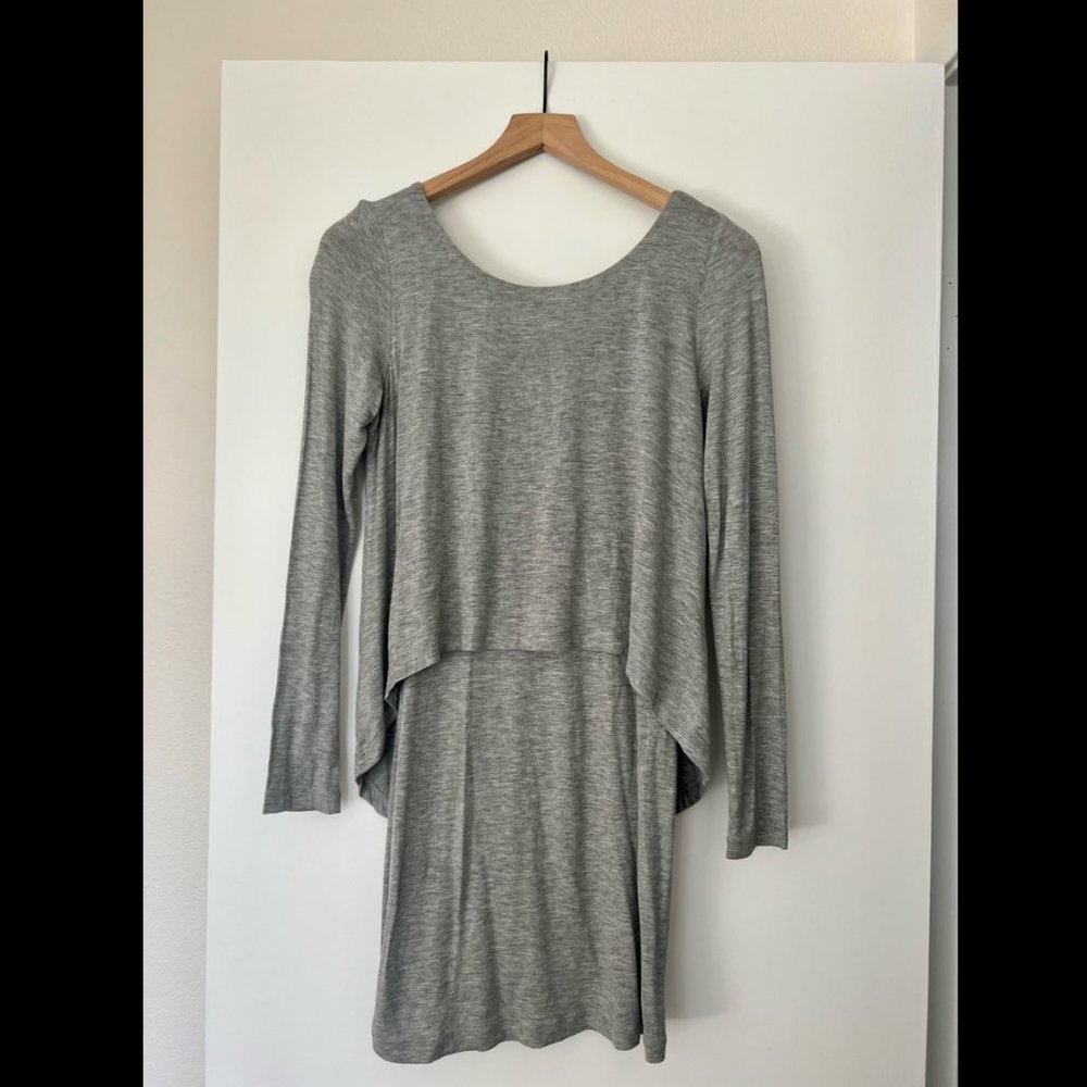 BCBG Fitted Dress